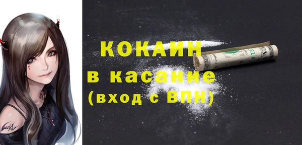 прущий лед Новозыбков