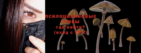 ПСИЛОЦИБИНОВЫЕ ГРИБЫ Новодвинск