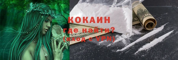 прущий лед Новозыбков