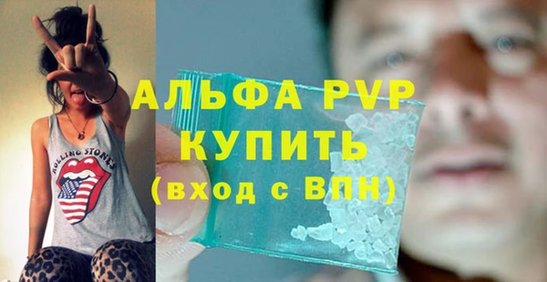 прущий лед Новозыбков