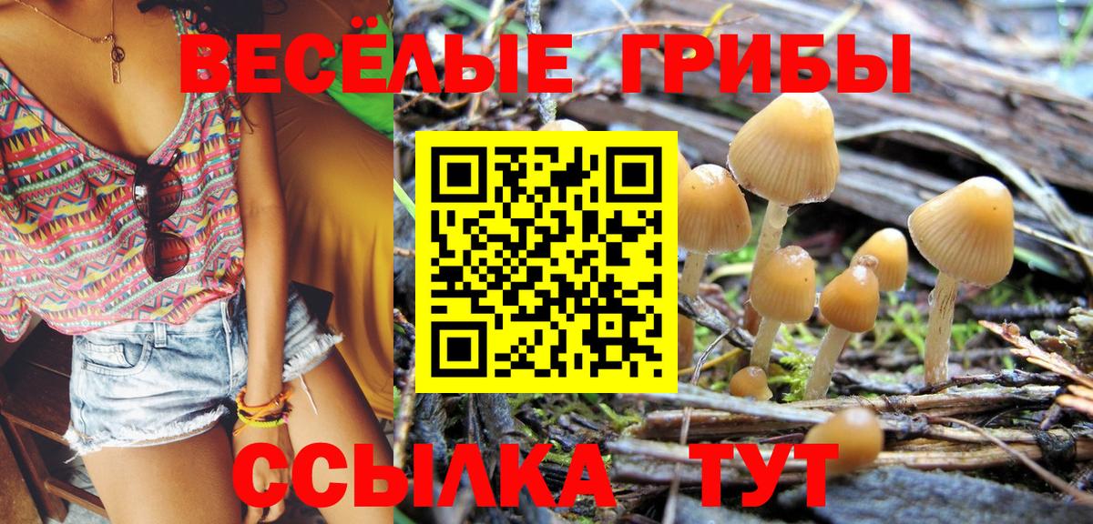 Псилоцибиновые грибы ЛСД Баксан