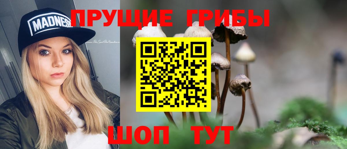Псилоцибиновые грибы MAGIC MUSHROOMS  Вход с VPN  Баксан  Псилоцибиновые грибы Cubensis 