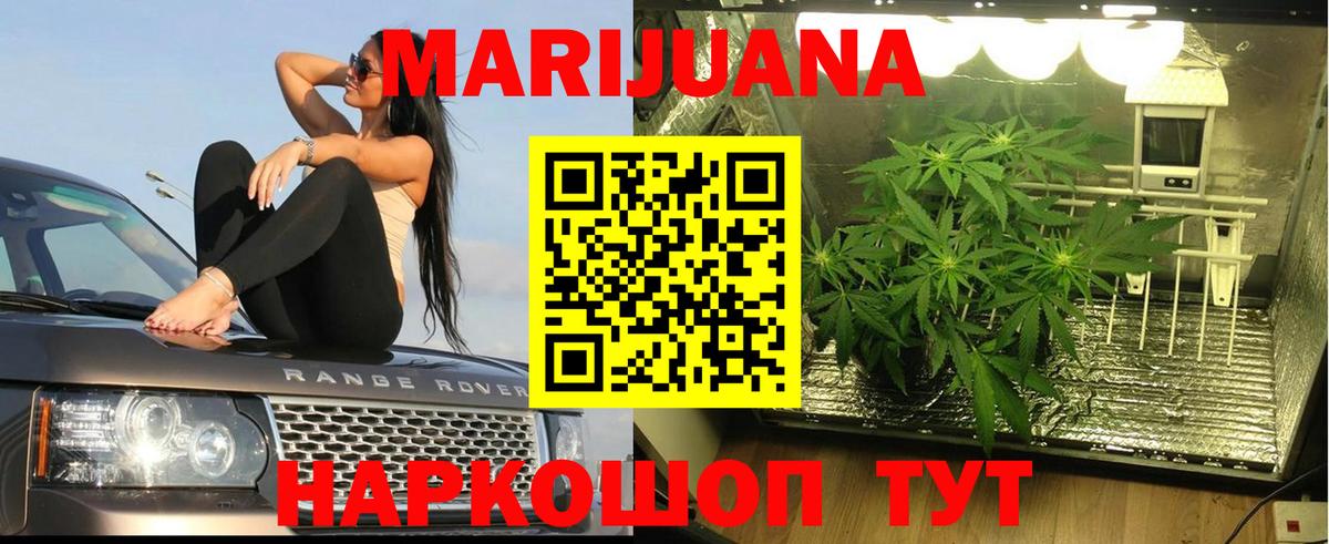 Канабис Bruce Banner Баксан