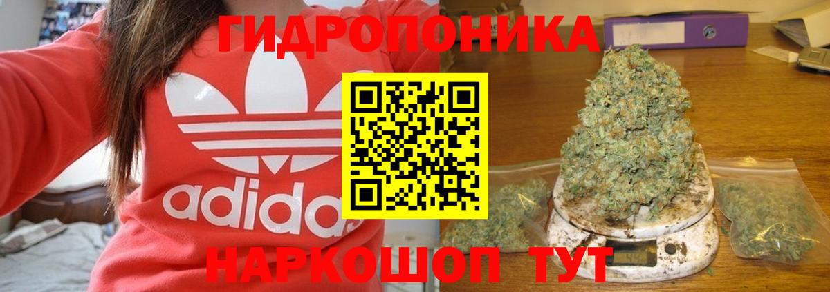 Канабис Баксан